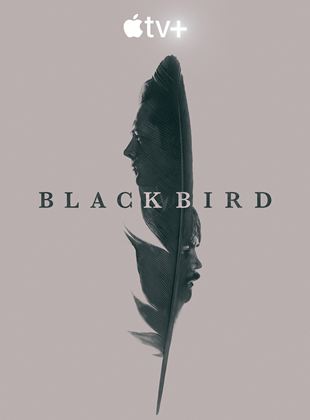Black Bird Saison 1 en streaming