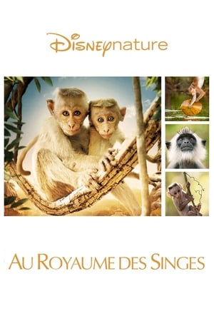 Au Royaume des singes